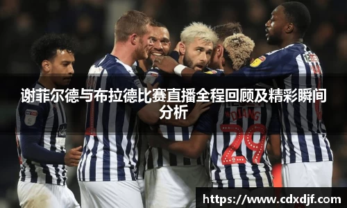 k1体育谢菲尔德与布拉德比赛直播全程回顾及精彩瞬间分析